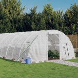 Seră cu cadru din oțel, alb, 24 m&sup2;, 6x4x2 m