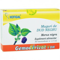 Muguri de Dud Negru 30monodz