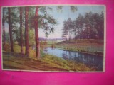HOPCT 12584 PEISAJ IN PADURE - CP PICTURA -CIRCULATA