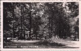 Carte postala circulata in 12 august 1943