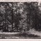 Carte postala circulata in 12 august 1943