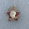 Insigna Lenin URSS
