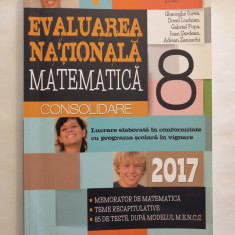 Matematica. Evaluare nationala 2017. Clasa a VIII-a. Consolidare, Gh. Iurea
