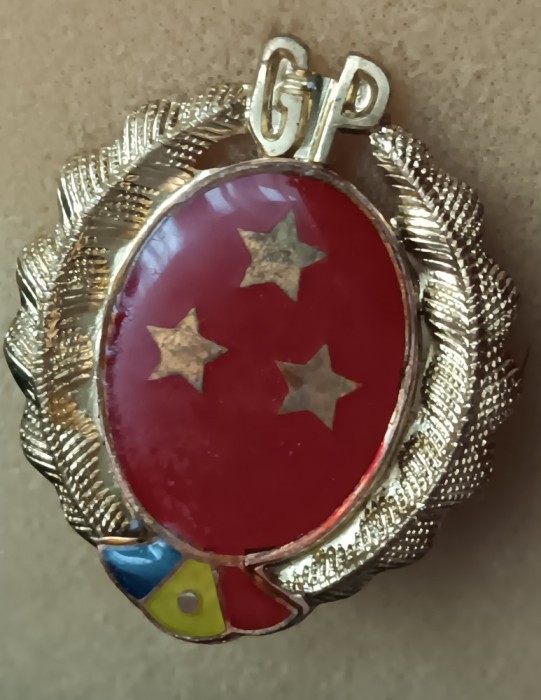 QW14 - Emblema militara - Comunism - Garzi patriotice - piesa de colectie
