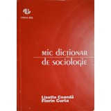 MIC DICTIONAR DE SOCIOLOGIE-FLORIN CURTA, LISETTE COANDA-220552