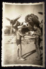P.073 FOTOGRAFIE RAZBOI LUFTWAFFE WWII AVIATIE BOMBARDIER JUNKERS JU-88 4U PK