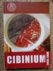 Cibinium 2006-2008 - Partea a II-a