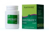EXPECTORANTE 40CPR, Plantavorel