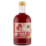 Bautura Ghimbir &amp; Merisoare Eco Bio Today, 500ml - Antioxidanti, Vegan, Fara Aditivi, Agricultura Ecologica