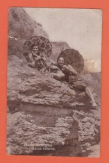 AMS @ - ILUSTRATA MOVILA - TECHIRGHIOL STANCA INFLORITA 1929 CIRCULATA, printata