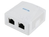Soclu de perete RJ45 x2, 8p8c, albă