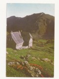 CA11 -Carte Postala- Muntii Fagaras , Cabana Podragu, necirculata