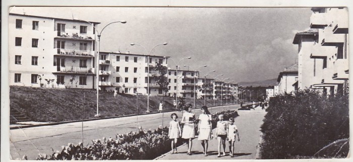 bnk cp Onesti - Vedere - circulata