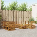 vidaXL Set canapele gradina 10 piese lemn masiv acacia natural rezistent vreme exterior