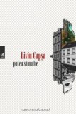 Cumpara ieftin Putea sa nu fie/Liviu Capsa