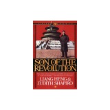 Son of the Revolution