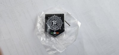 INSIGNA MILITARA ARMATA IRLANDEZA 3 BUCATI . foto