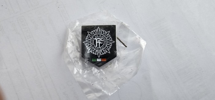 INSIGNA MILITARA ARMATA IRLANDEZA 3 BUCATI .
