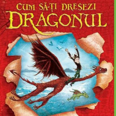 Cum să-ți dresezi dragonul (Vol. 1) - Hardcover - Cressida Cowell - Arthur
