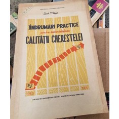 Iacob I. Iager - Indrumari Practice pentru imbunatatirea calitatii cherestelei