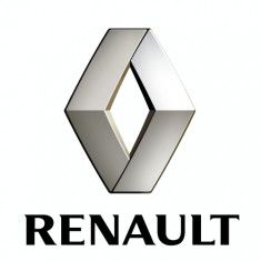 Armrest Oe Renault 877008766R foto