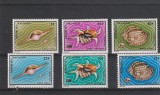 Fauna ,cochilii ,Malgase.