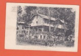 AMS @ - VEDERI DIN GOVORA - VILA MERCUR, 1904, CIRCULATA