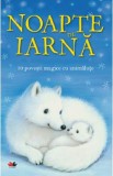 Noapte de iarna. 10 povesti magice cu animalute