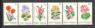 Romania.1980 Flori exotice YR.683 foto
