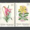 Romania.1980 Flori exotice YR.683