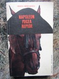 Neagu Radulescu - Napoleon fugea repede