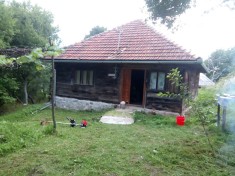 Casa+teren de vanzare in Munti Apuseni foto
