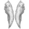 icon 5