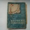 Broderii perforate - Andreea Groholschi (cu planse)