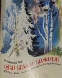 CEI PATRU PICTORI G SKREBITKI