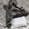 Suport cutie de viteze AUDI Q7 4M 2017 OEM: 4M0399114B | 29921383