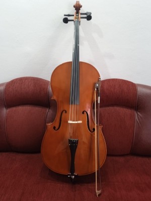 V&amp;acirc;nd violoncel 3/4 foto