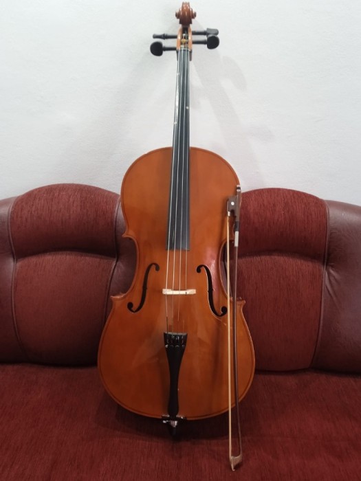V&acirc;nd violoncel 3/4