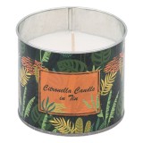 Lumanare citronella anti tantari in pahar metalic,frunze tropicale,220 g, Oem