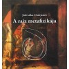 A rajz metafizik&aacute;ja - Damjanov