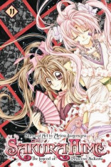 Sakura Hime: The Legend of Princess Sakura, Volume 11 foto