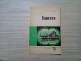 CAPCANE - Vasile Filimon, Constantin Avram - Editura Militara, 1976, 79 p.