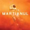 Andy Weir - Martianul