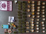 INSIGNE VINTAGE , 35 lei bucata, interesante . pentru decorare genti , sepci , tricouri .