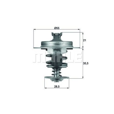 Mahle termostat, lichid racire Behr foto