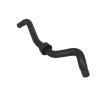 Furtun Radiator 488842 con115818