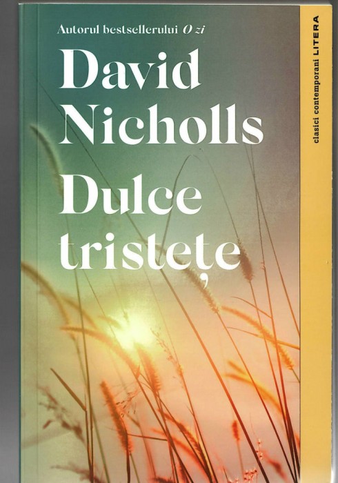 Pachet 2 carti David Nicholls - Dulce tristete/ Noi