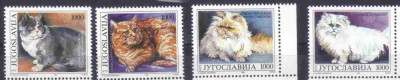 IUGOSLAVIA 1992, Fauna, Pisici, serie neuzata, MNH foto