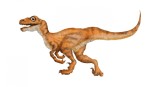 Cumpara ieftin Sticker decorativ Dinozaur, Portocaliu, 85 cm, 3935ST, Oem