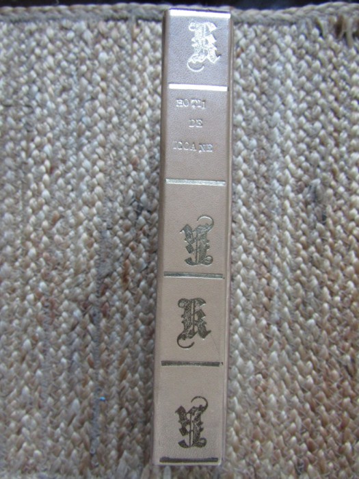 Hotii de icoane de V.Diavatov-M.Milanov